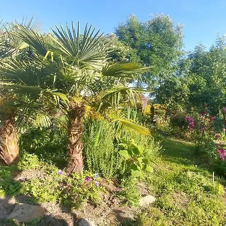 Oasis Bleu Et Oasis Rouge